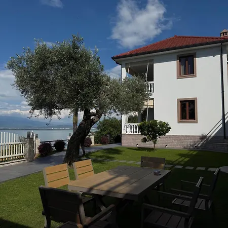 L Olive Zogaj (Shkoder)