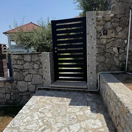 L Olive Zogaji