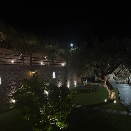 L Olive * Zogaji