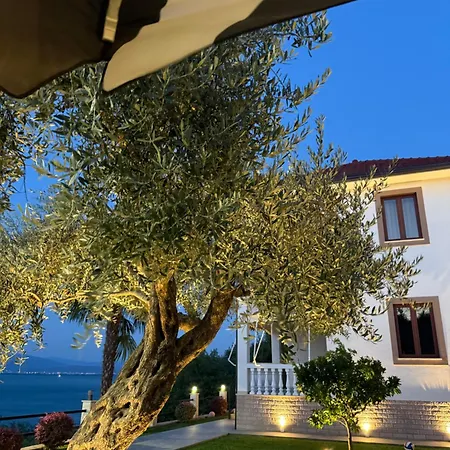 L Olive * Zogaji